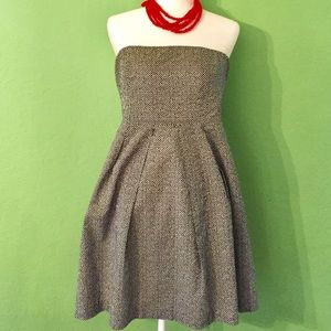 J Crew Strapless Cotton Polkadot Dress
